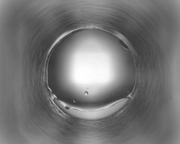 X0000078891052200612042045