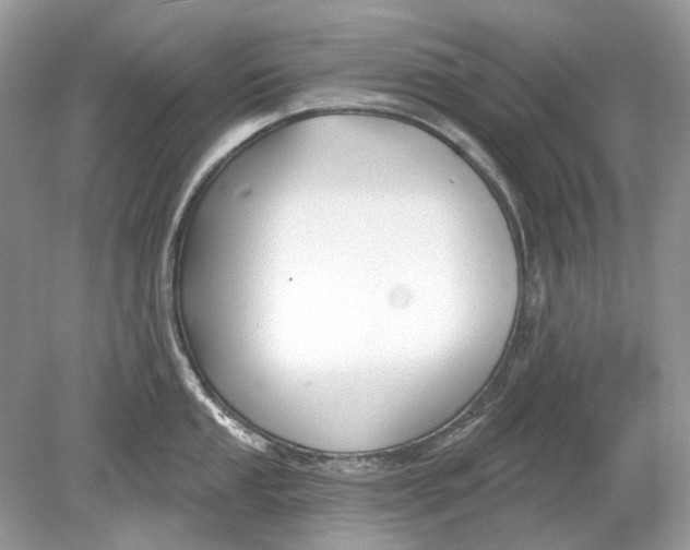 X0000078891053200612042045