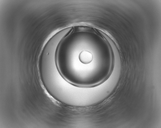 X0000078891054200612042045