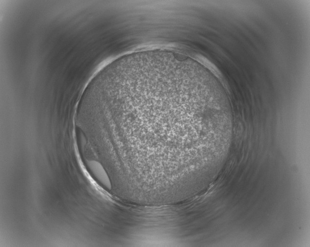 X0000078891055200612042045