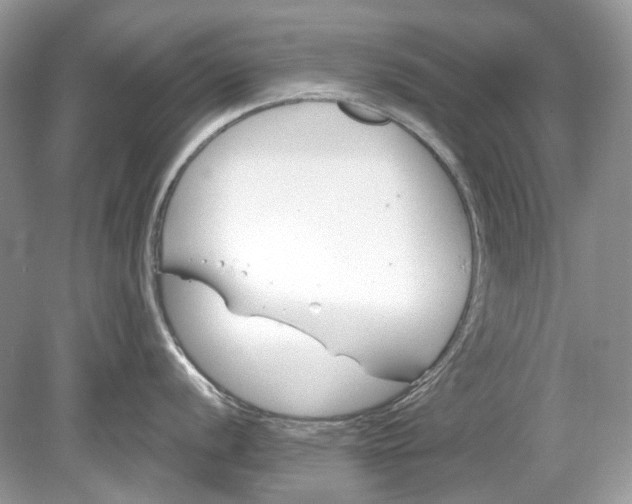 X0000078891056200612042045