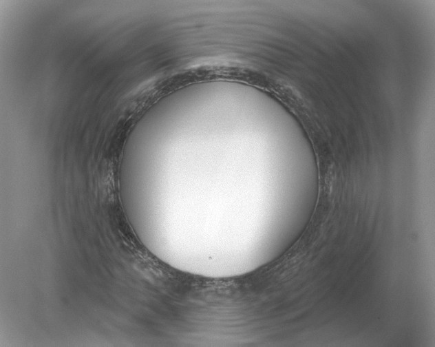 X0000078891062200612042044