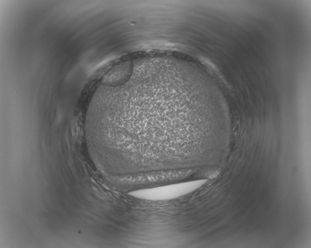 X0000078891063200612042044