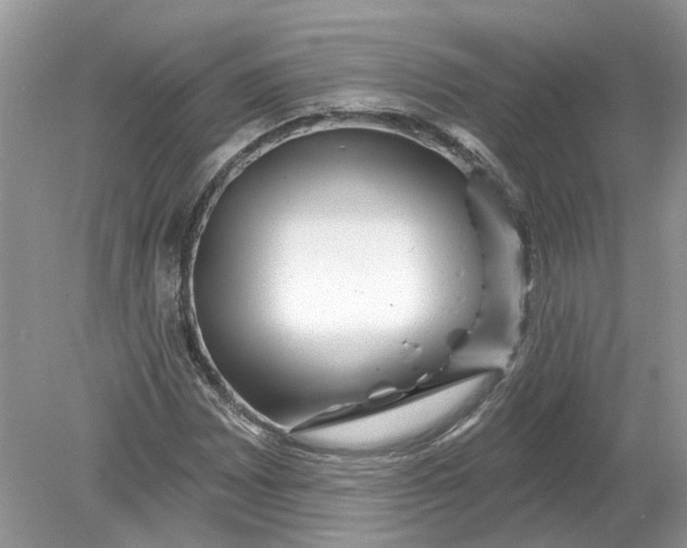 X0000078891065200612042044