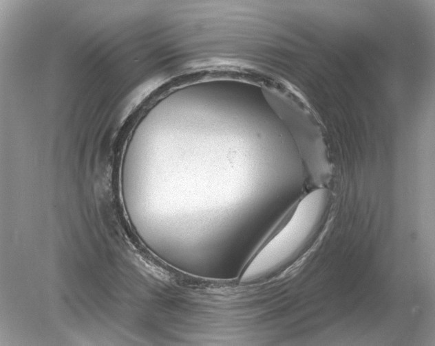 X0000078891066200612042044