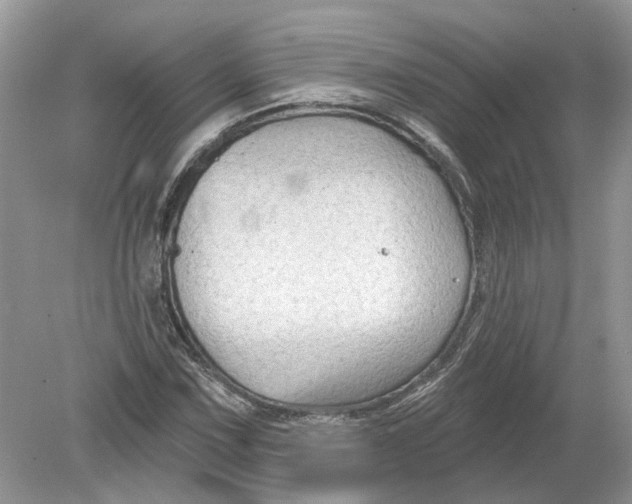 X0000078891067200612042044