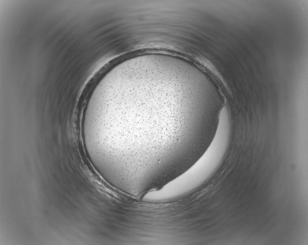 X0000078891068200612042044