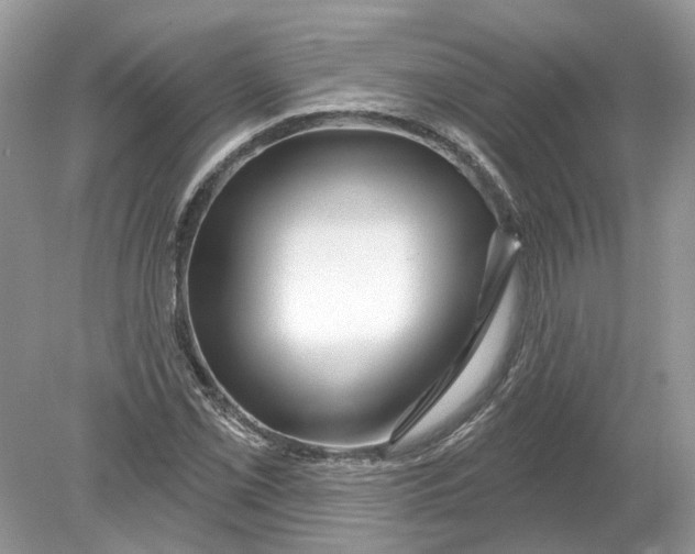 X0000078891069200612042044