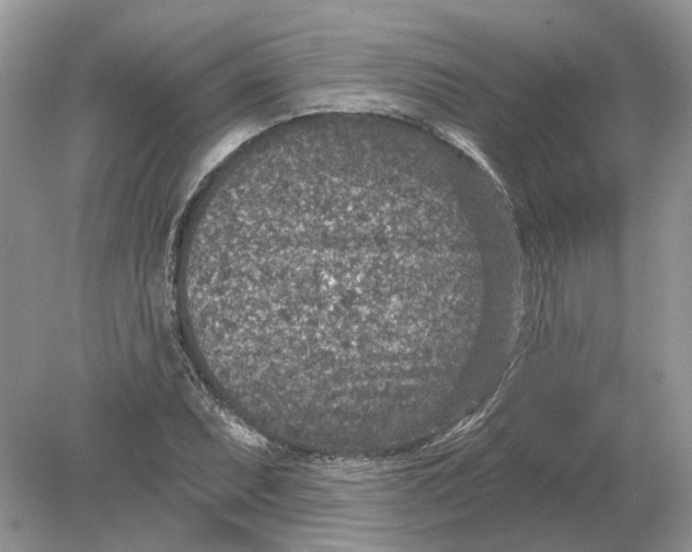 X0000078891071200612042044