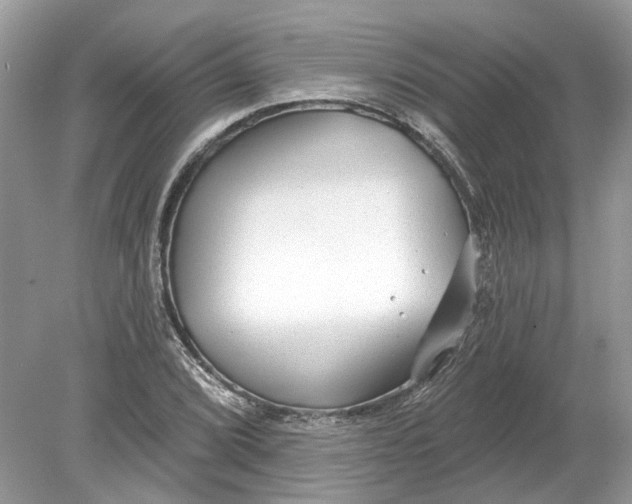 X0000078891072200612042044