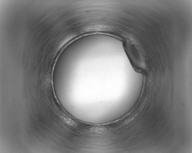 X0000078891073200612042044