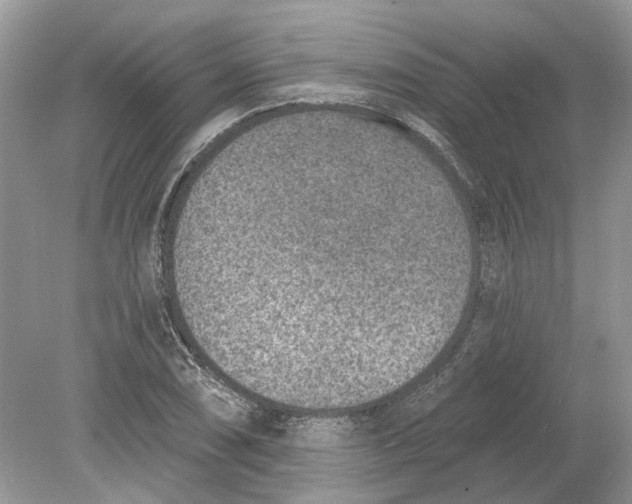 X0000078891074200612042044