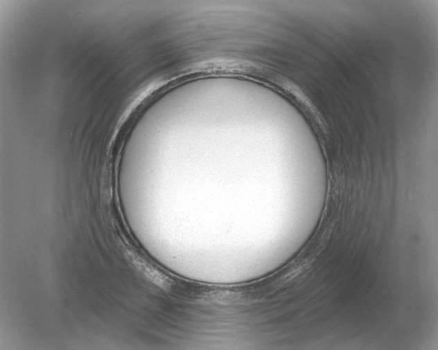 X0000078891075200612042044