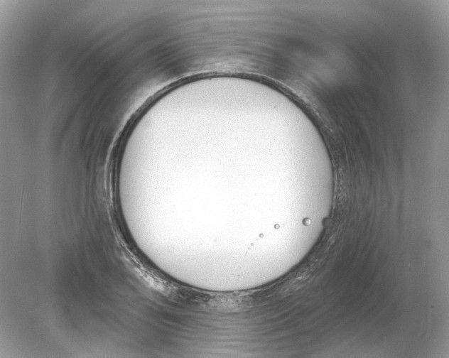 X0000078891078200612042044