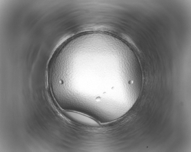 X0000078891079200612042044