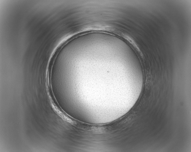 X0000078891080200612042044