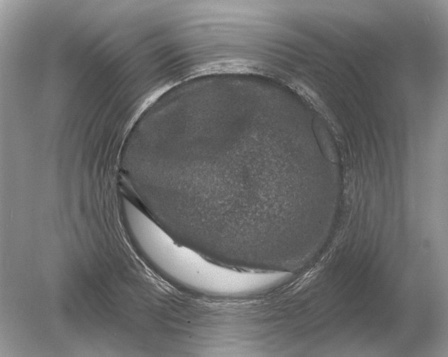 X0000078891081200612042044