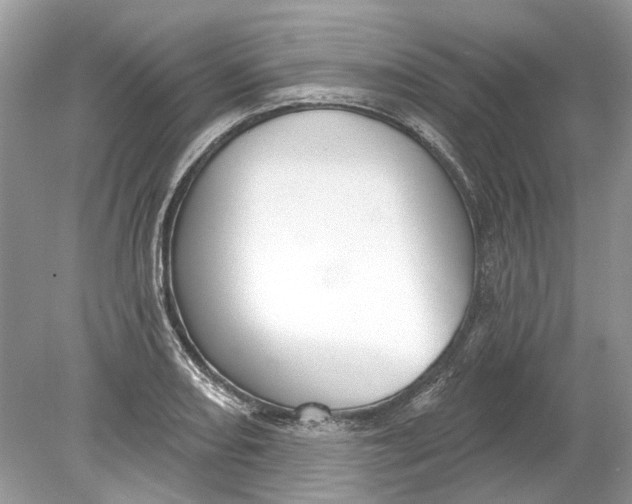 X0000078891082200612042044