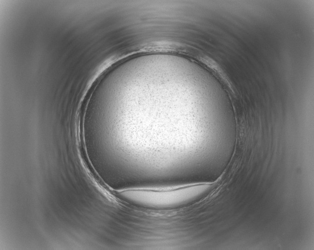 X0000078891083200612042044