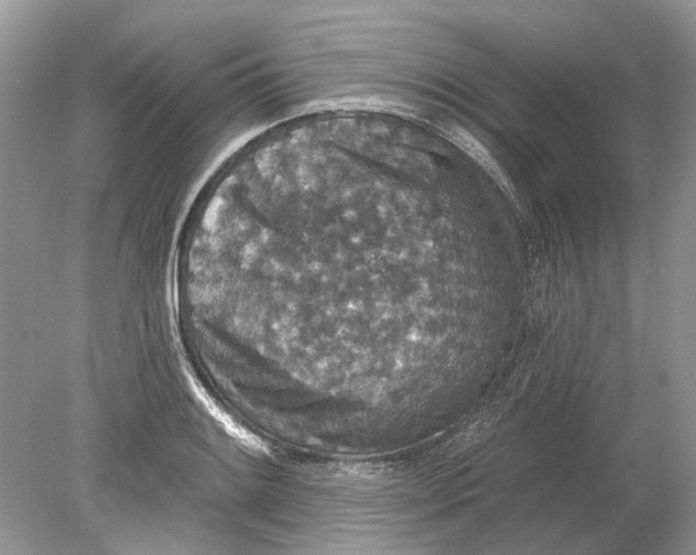 X0000078891084200612042044