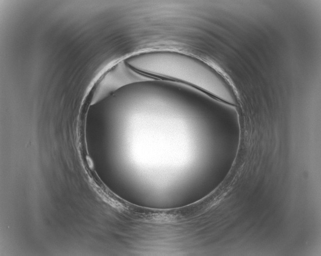 X0000078891085200612042044