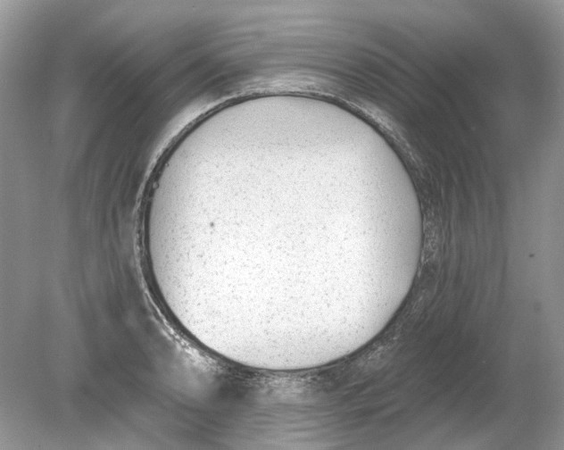 X0000078891086200612042044