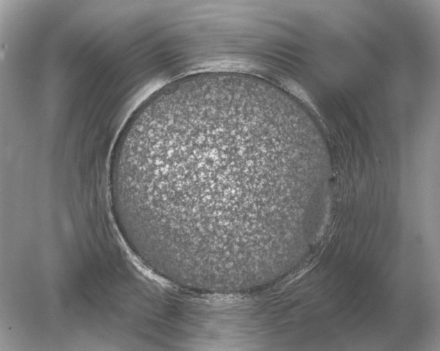 X0000078891087200612042044