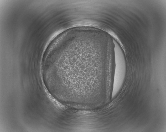 X0000078891088200612042044