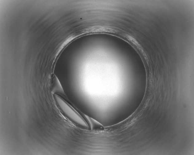 X0000078891089200612042044