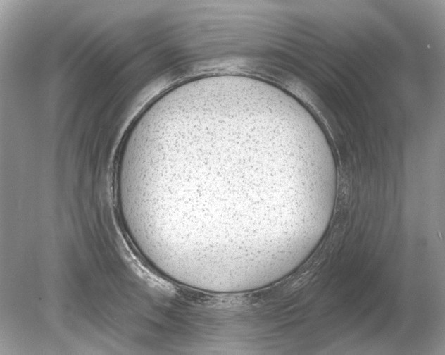 X0000078891090200612042044