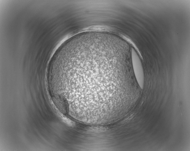 X0000078891091200612042044