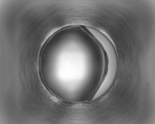 X0000078891093200612042044