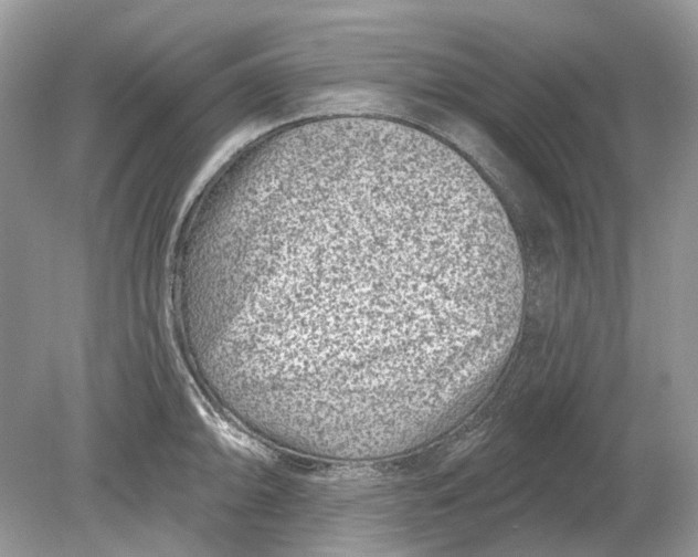 X0000078891094200612042044