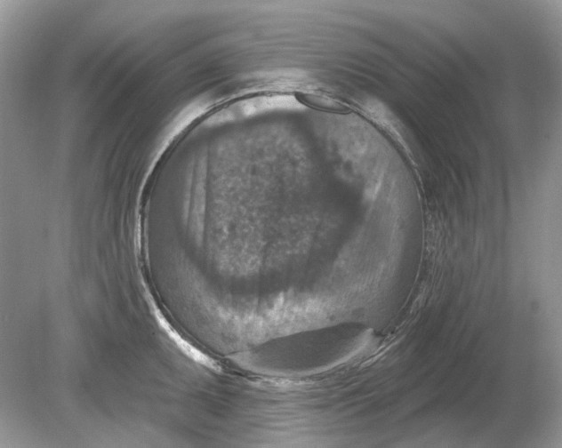 X0000078891095200612042044