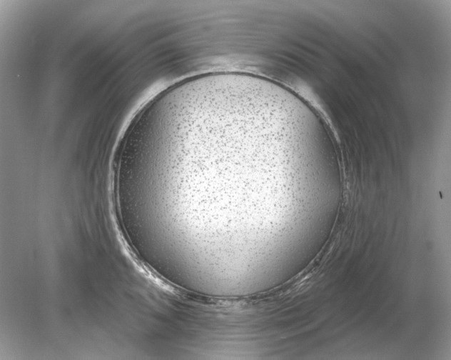 X0000078891096200612042044