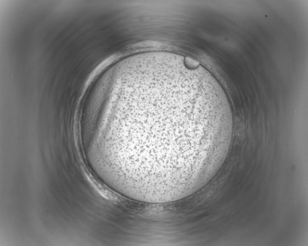 X0000078891098200612042044