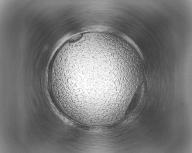 X0000078891099200612042044