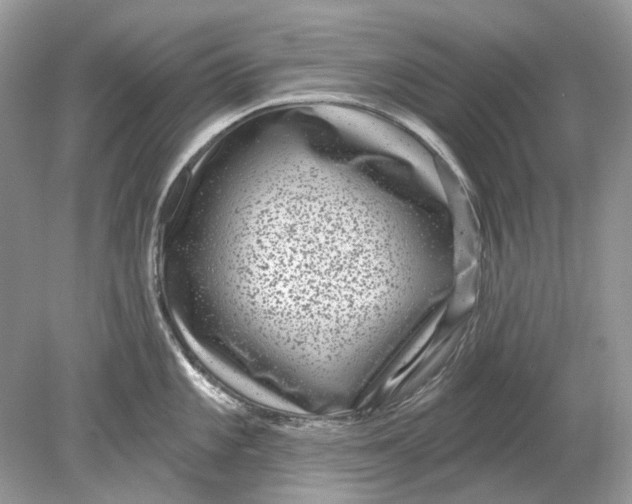 X0000078891101200612042044