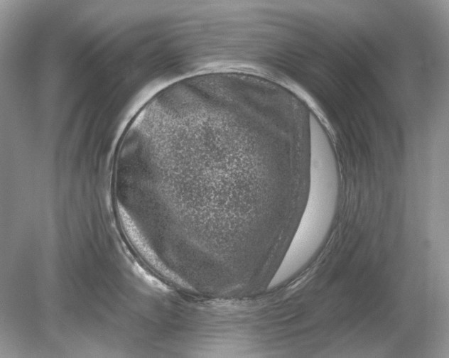 X0000078891102200612042044