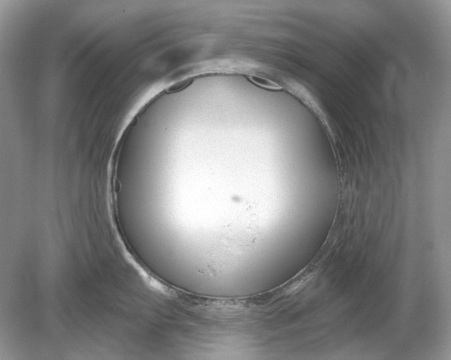 X0000078891103200612042043