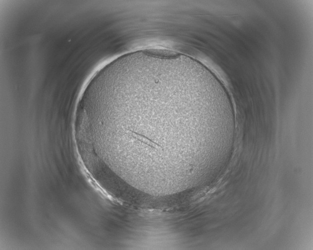 X0000078891104200612042043