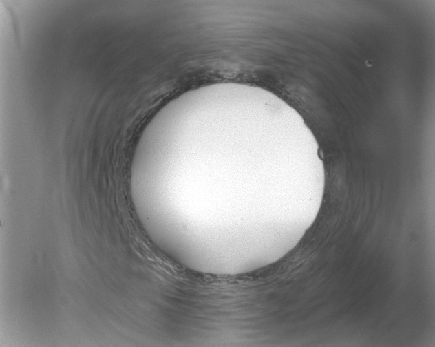 X0000078891105200612042043