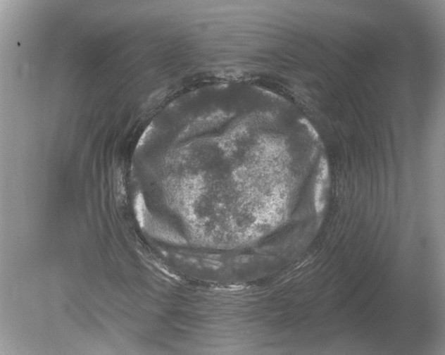 X0000078891106200612042043