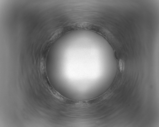 X0000078891107200612042043