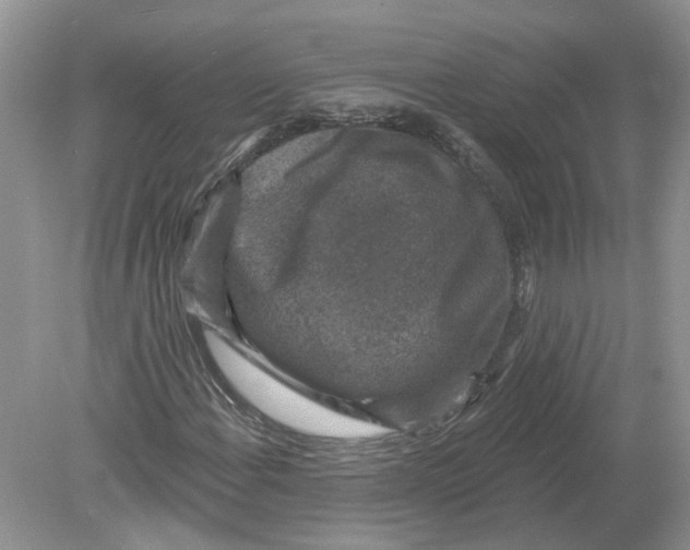 X0000078891108200612042043