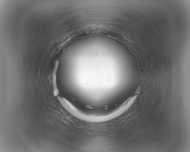 X0000078891109200612042043