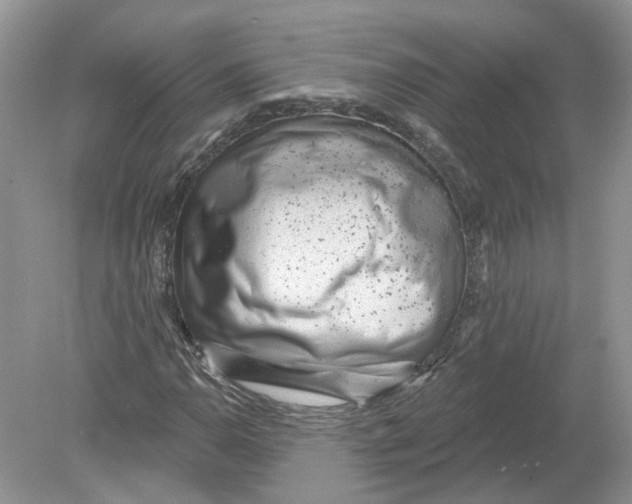 X0000078891110200612042043