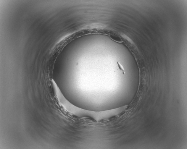 X0000078891112200612042043