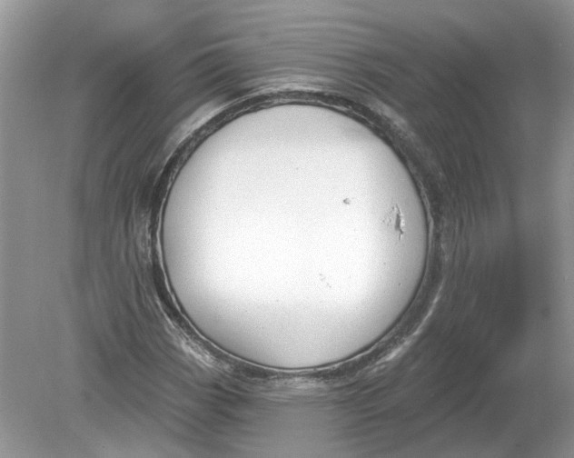 X0000078891113200612042043