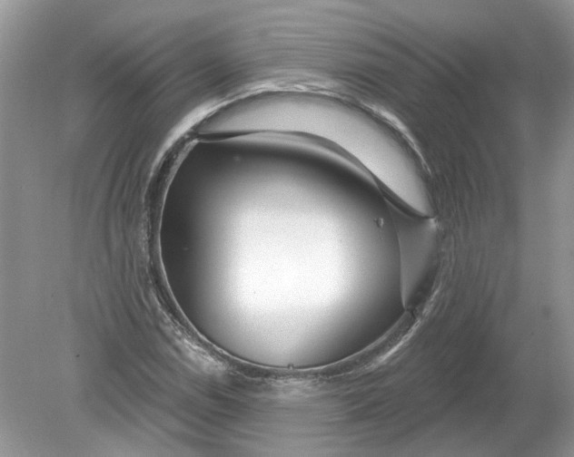 X0000078891114200612042043